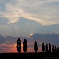 /album/galerie-de-photos-galerie-photos/frida-dumont-img-9746-jpg/